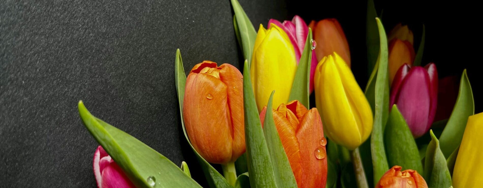 Dárek na Den žen, který nikdy nezklame 🌷