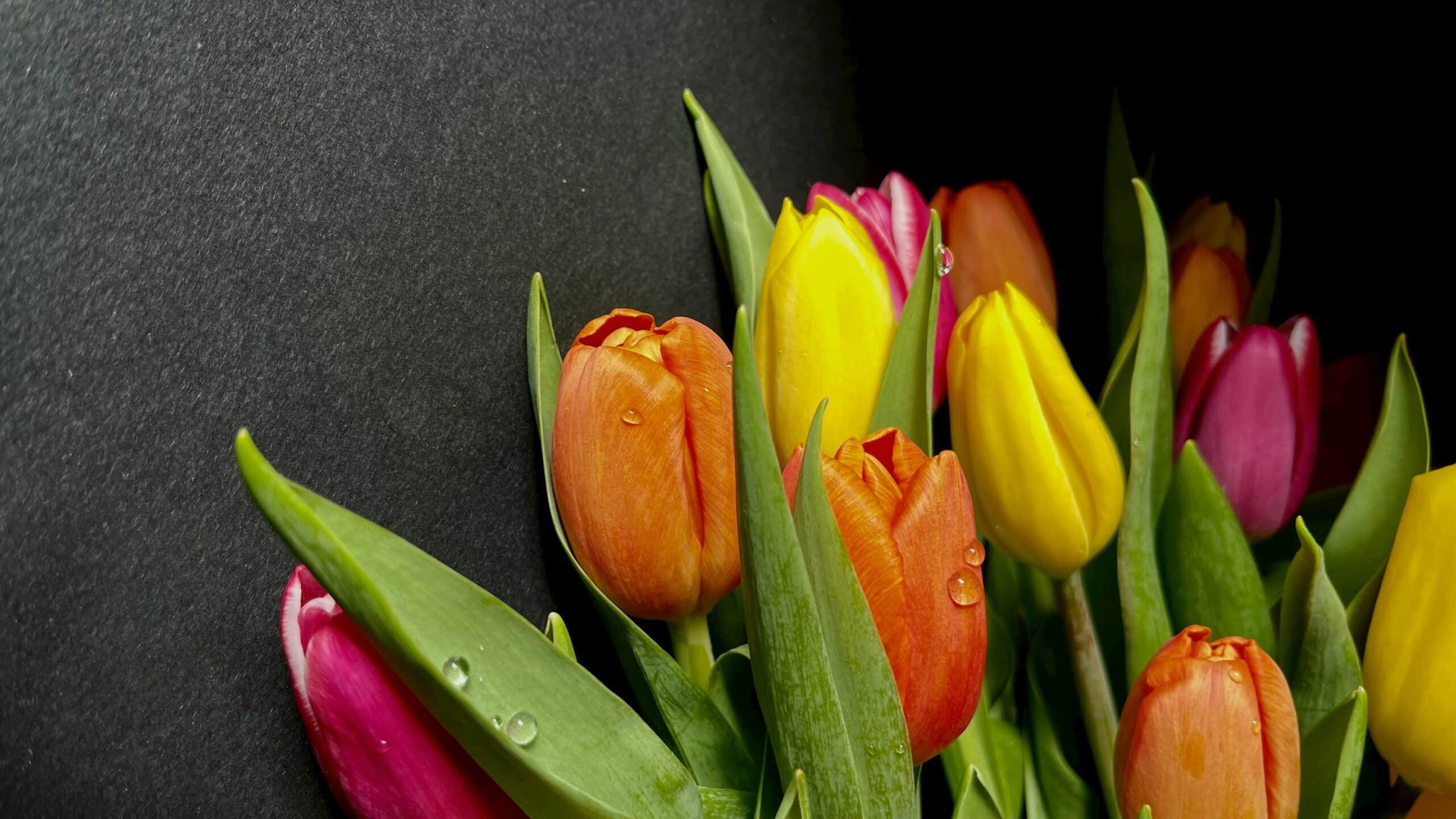 Dárek na Den žen, který nikdy nezklame 🌷